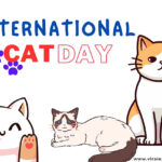 International-Cat-Day.jpg